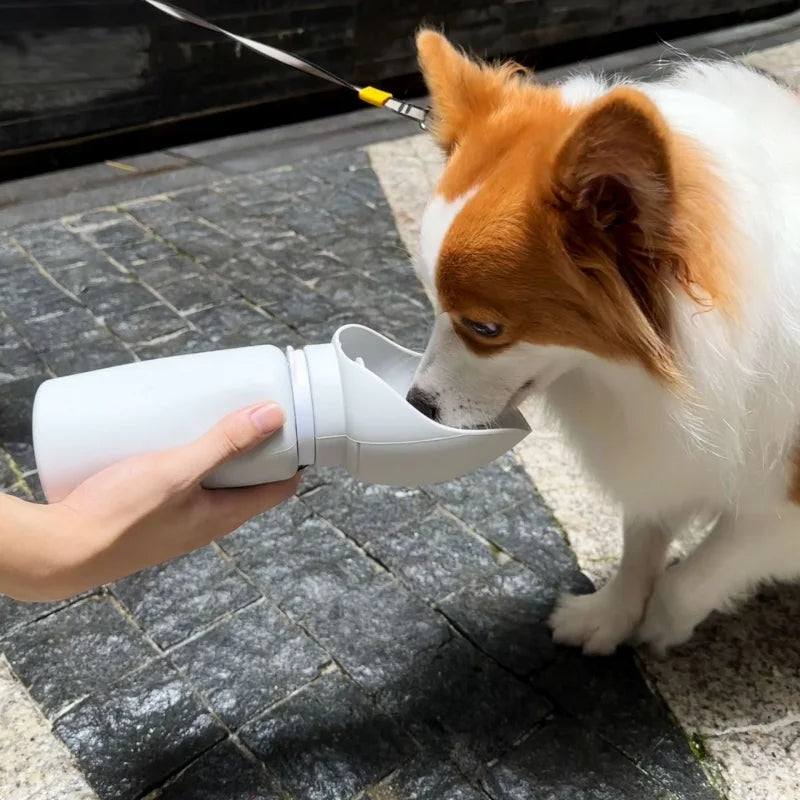 Pet Water Cup Outdoor