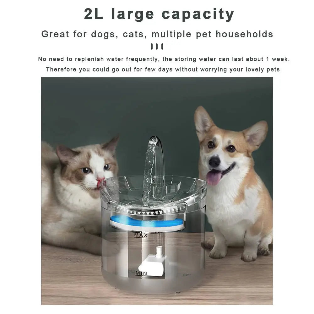 2L Pet Water Fountain