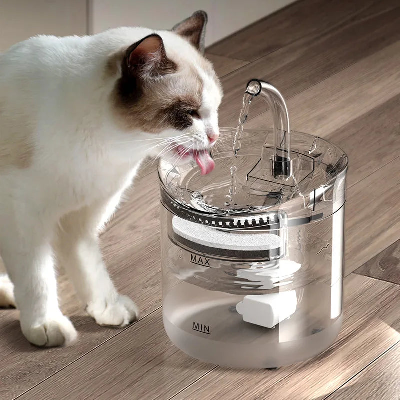 2L Pet Water Fountain