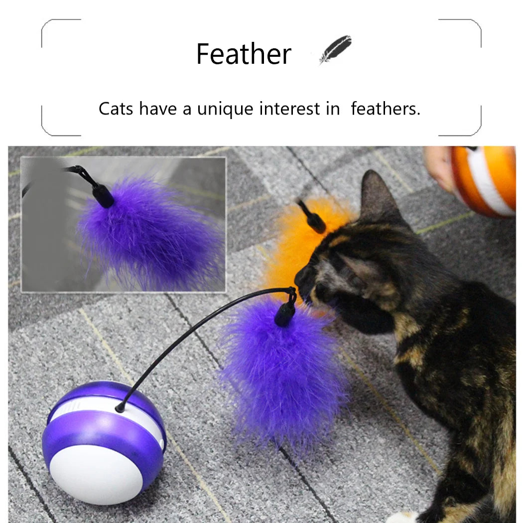 Pet Ball Tumbler Electric