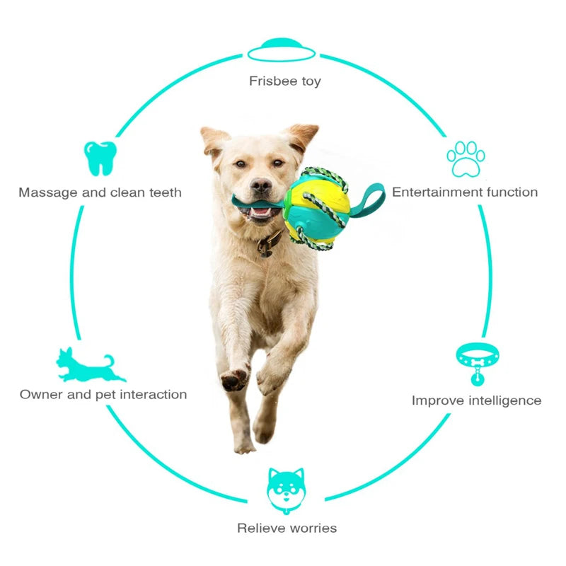 Dog Toy Interactive