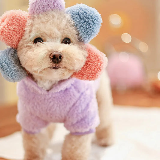 Clothes Puppy Spring Shirt Coat