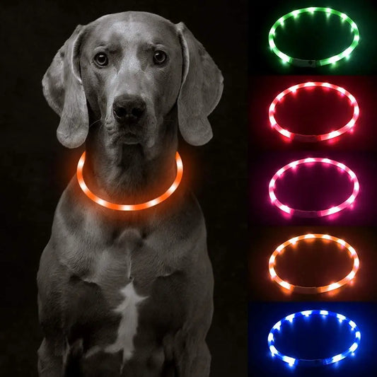 Luminous Collar Usb Charging