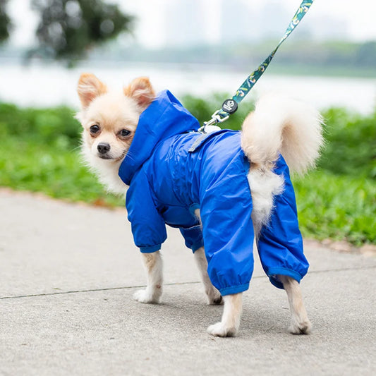 Waterproof Raincoat