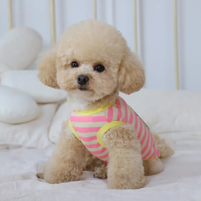 Clothes Luxury Pet