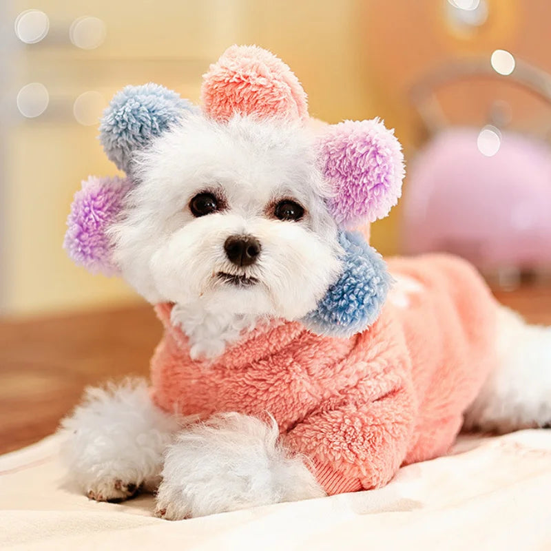 Clothes Puppy Spring Shirt Coat