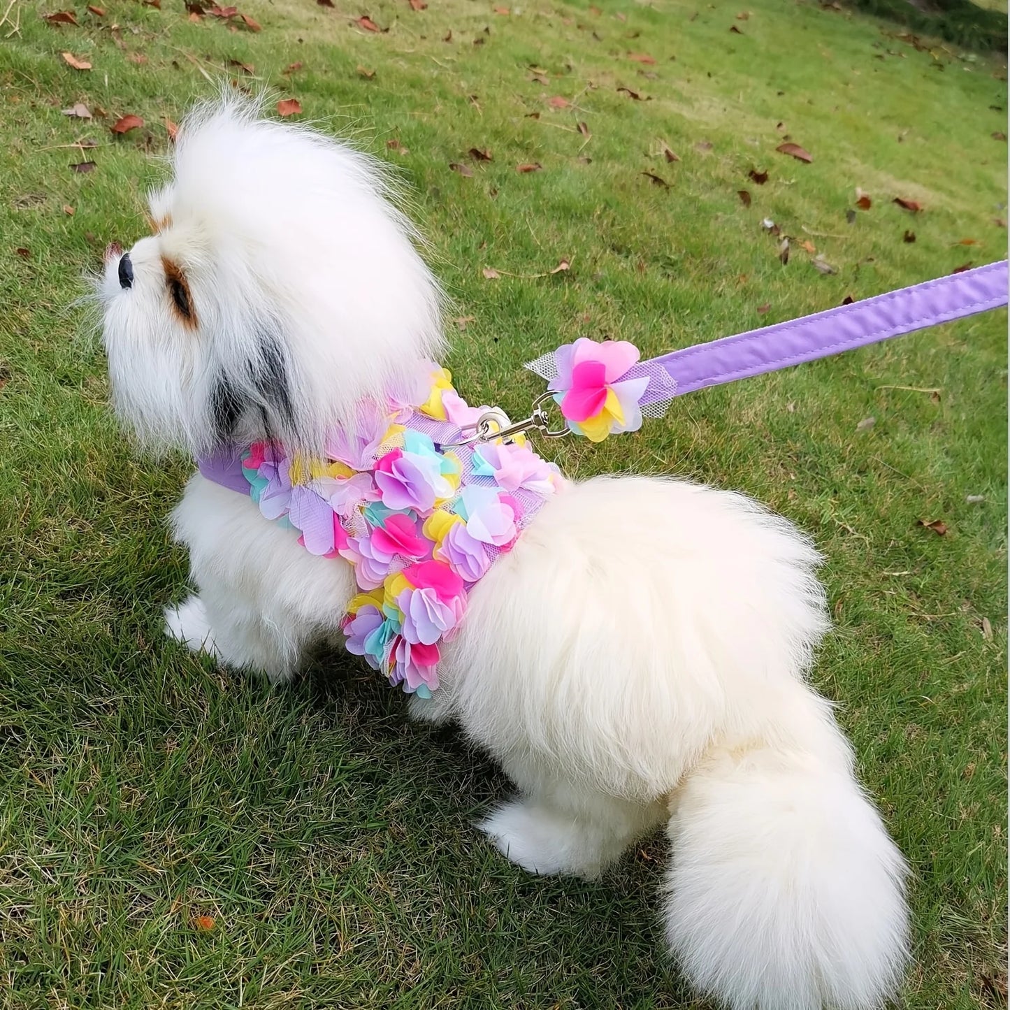 Pets Leash Flower Decoration