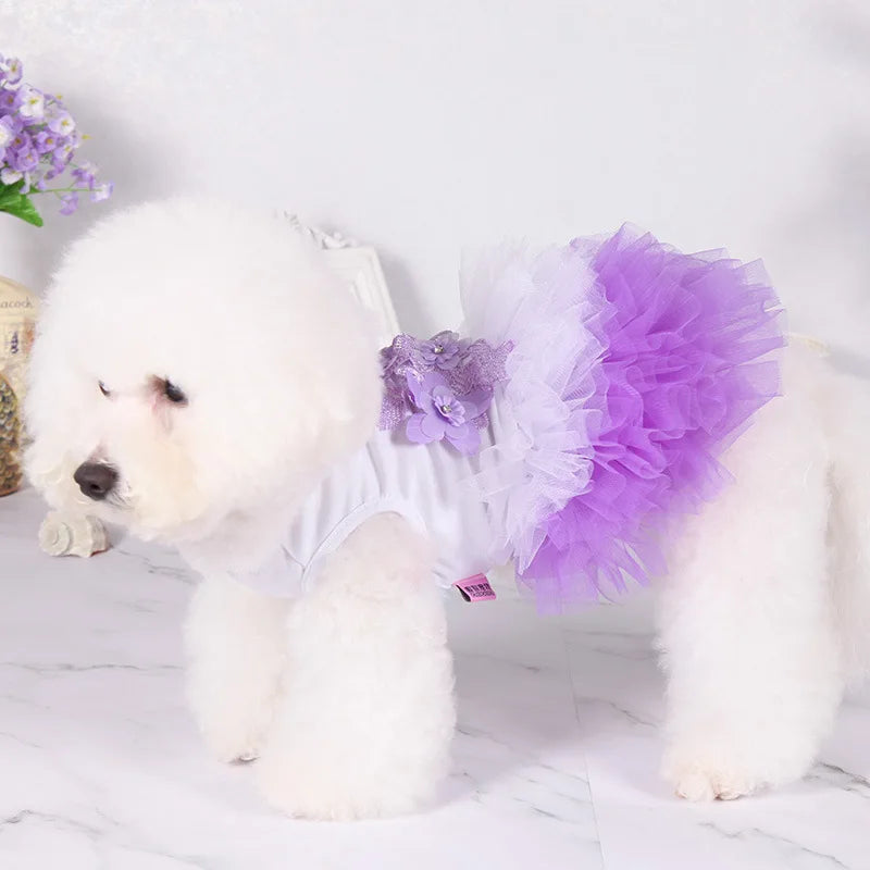 Spring Summer Pet Princess Dress