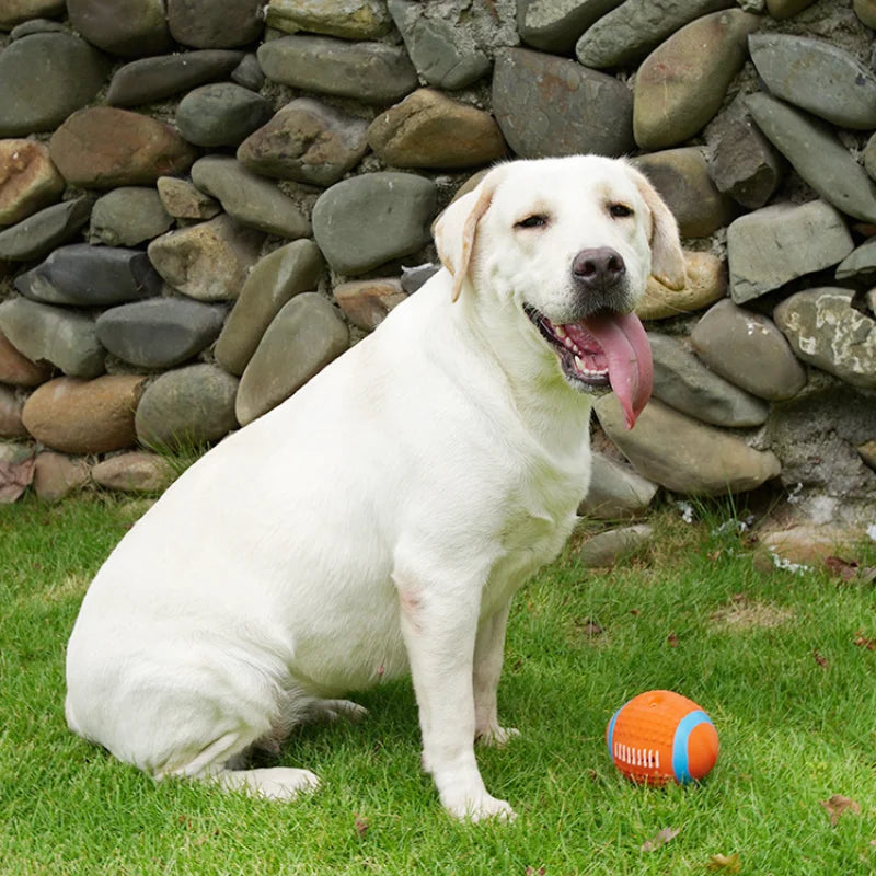 Squeaky Ball