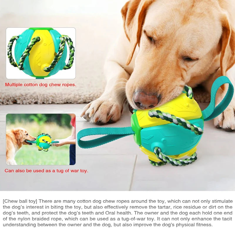 Dog Toy Interactive