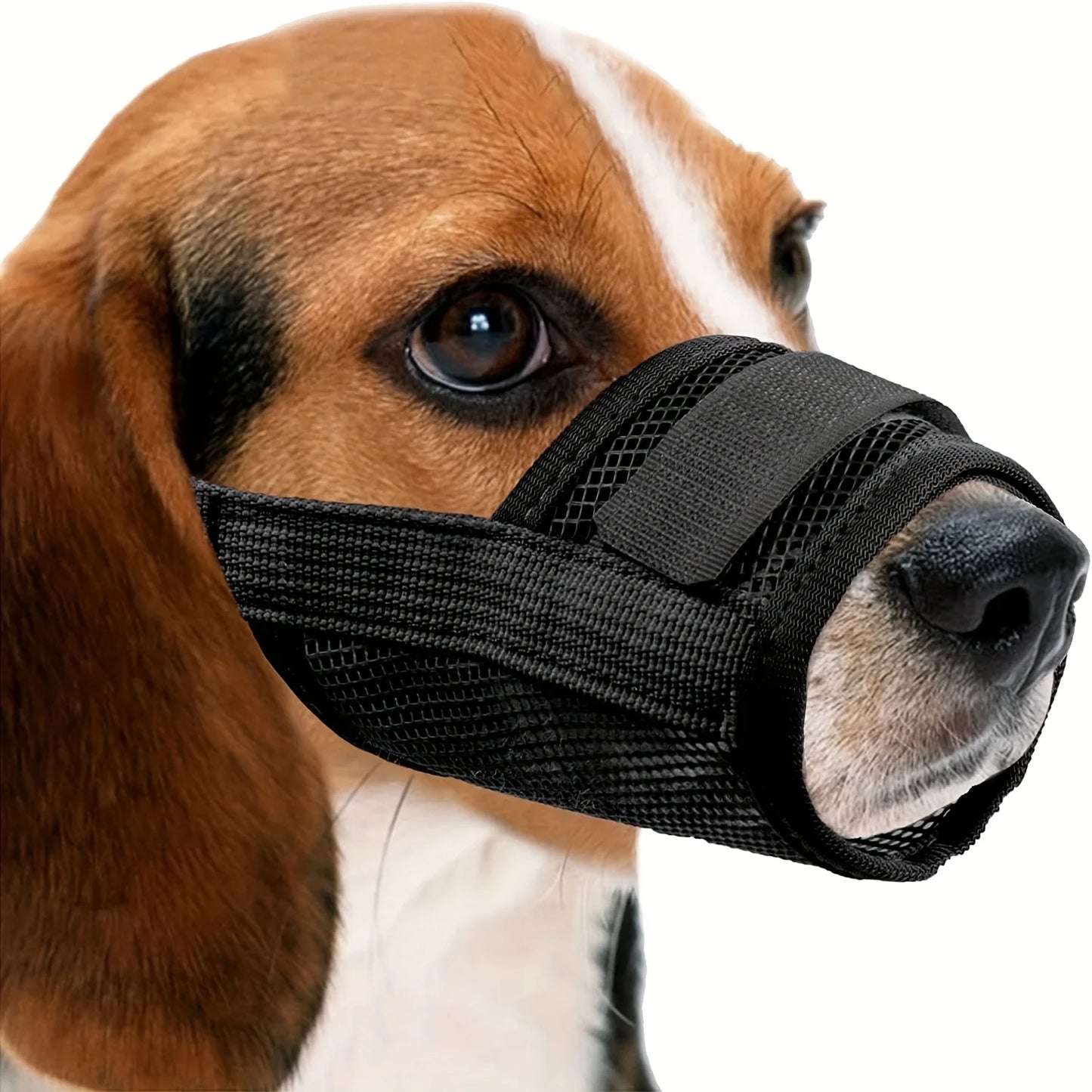 Adjustable Nylon Mesh Muzzle