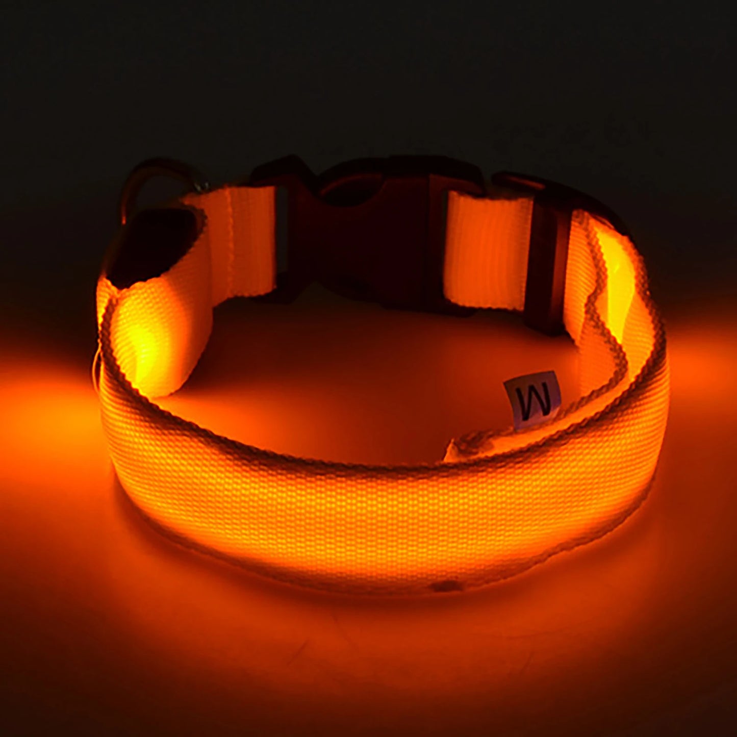 Collar Night Safety LED Light Emitting In The Dark