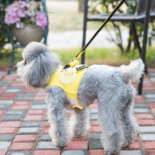 Collar Harnesses Things for Small Supplies Leash Pets