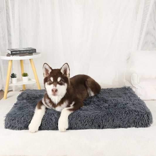 Mat Pet Bed Warm