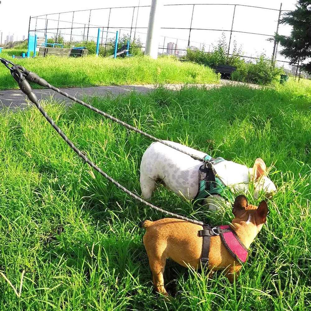 Dual Leash