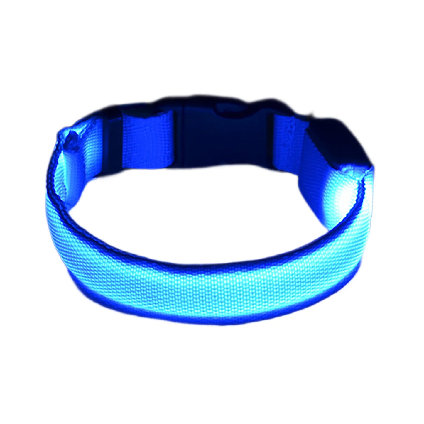 Collar Night Safety LED Light Emitting In The Dark