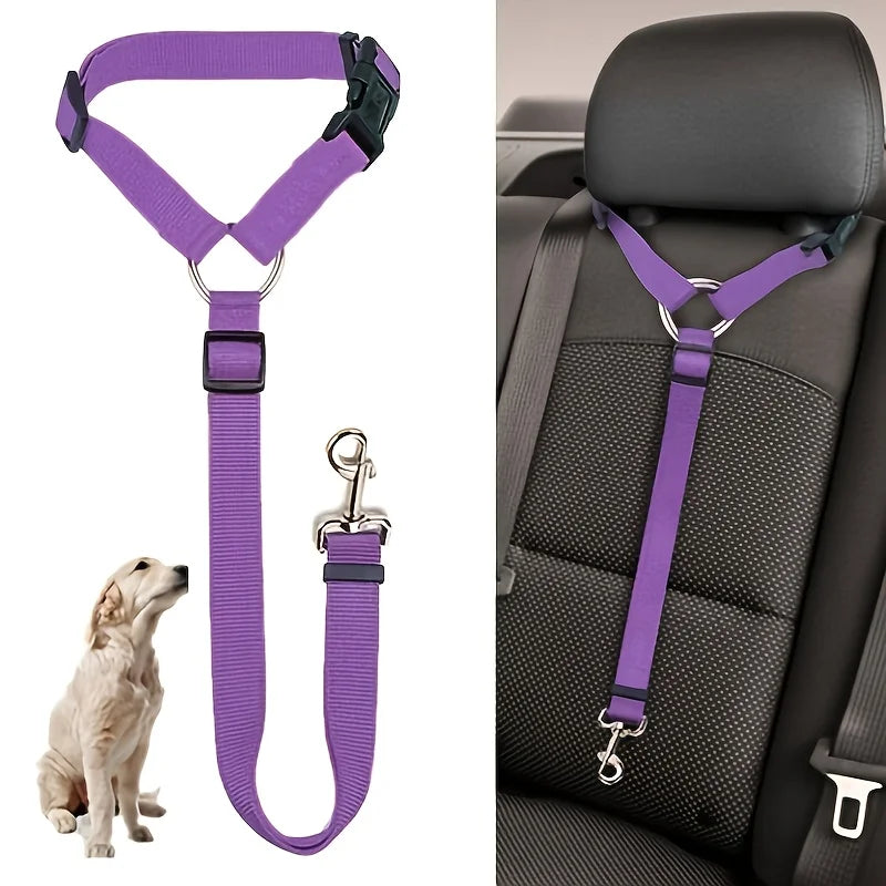 Backseat Safety Belt