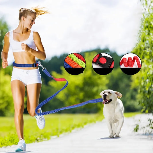 Dog  Leash Hands-Free Running