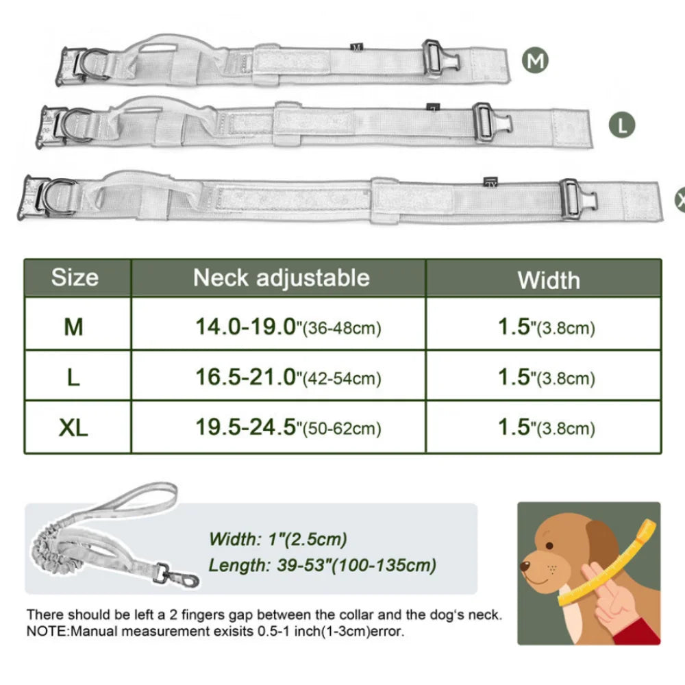 Collars & Leashes for Medium and Large Dogs