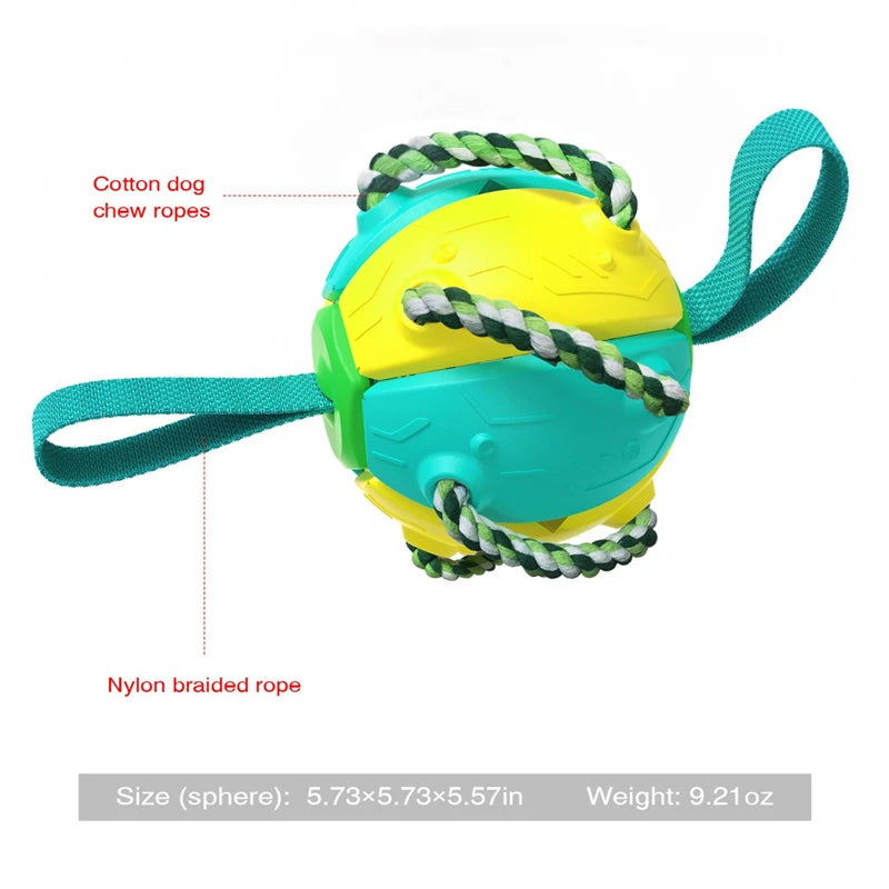 Dog Toy Interactive