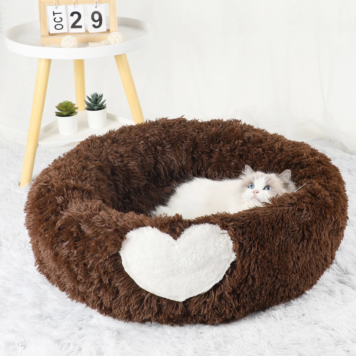 Bed Pet Furniture