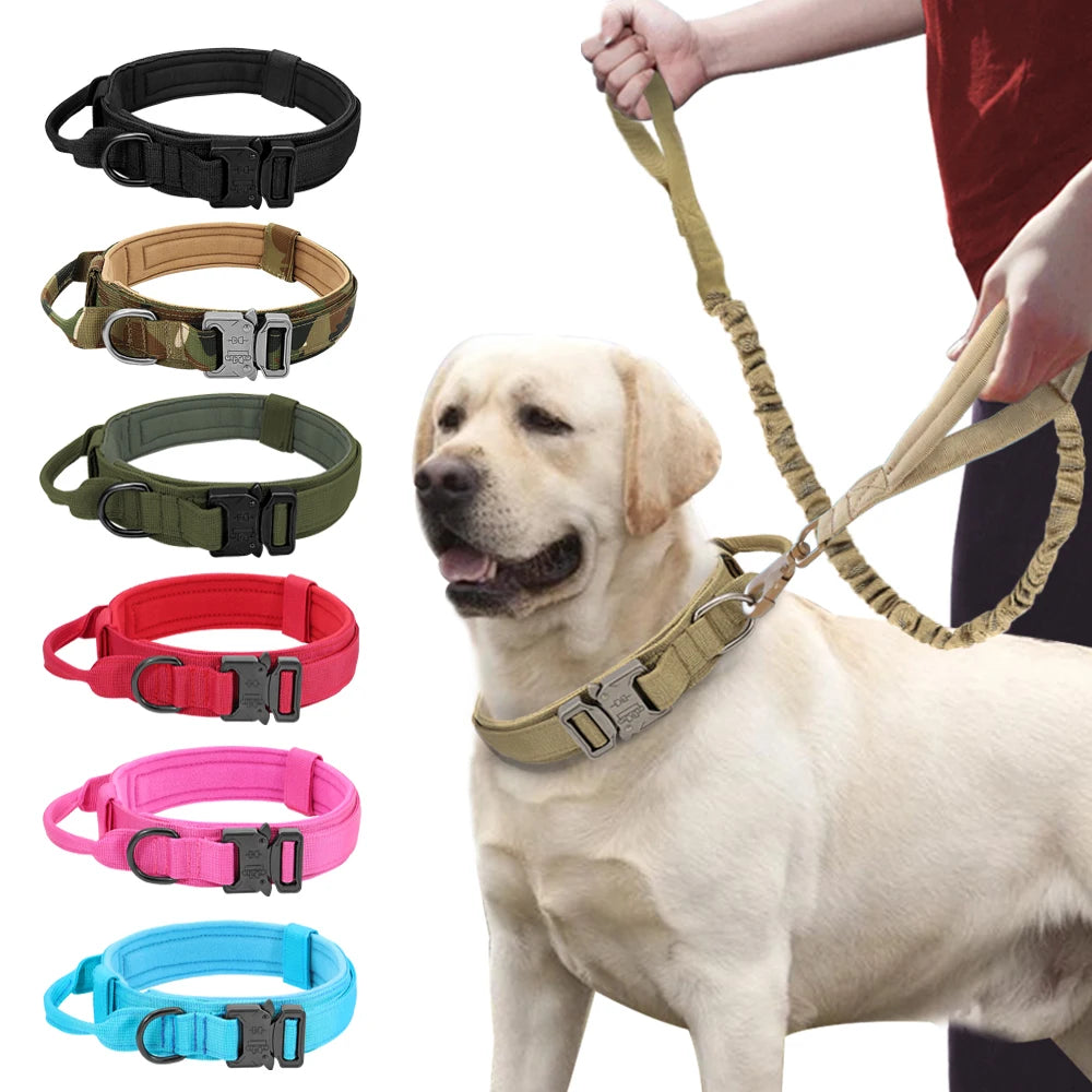 Collars & Leashes for Medium and Large Dogs