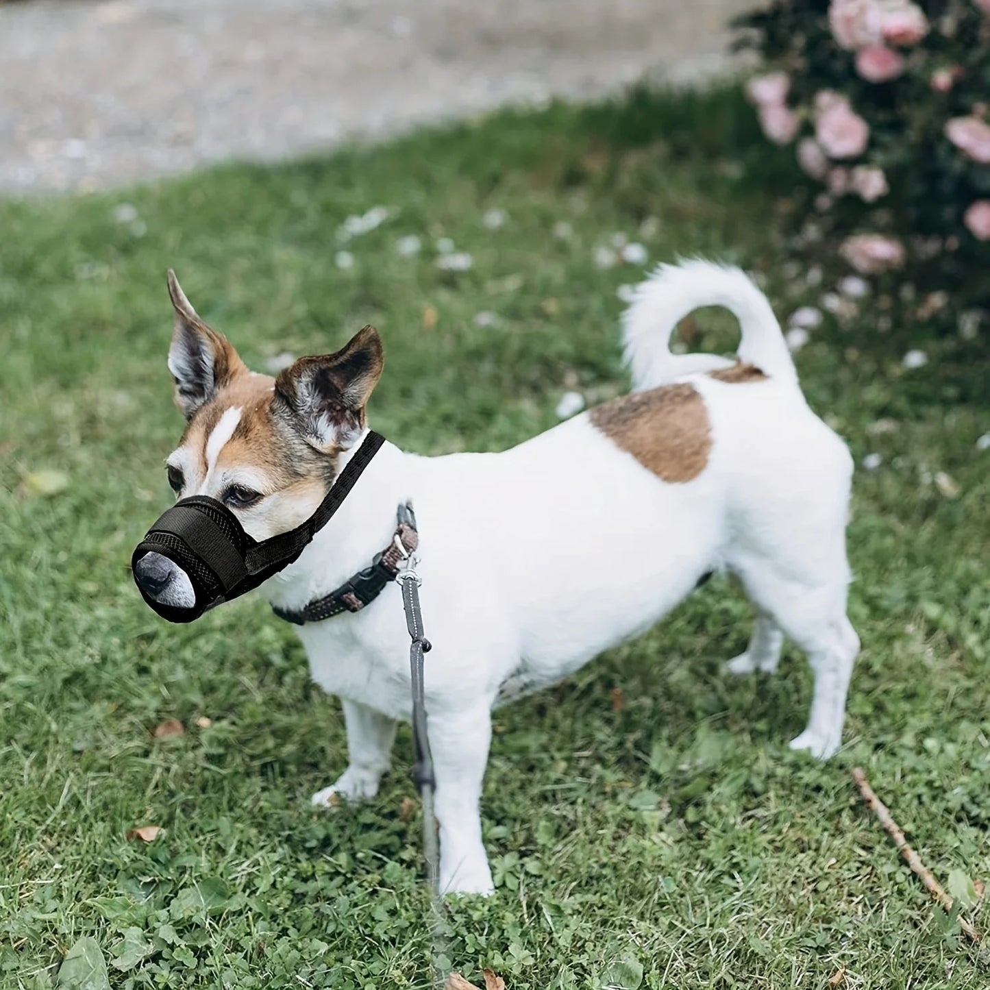 Adjustable Nylon Mesh Muzzle