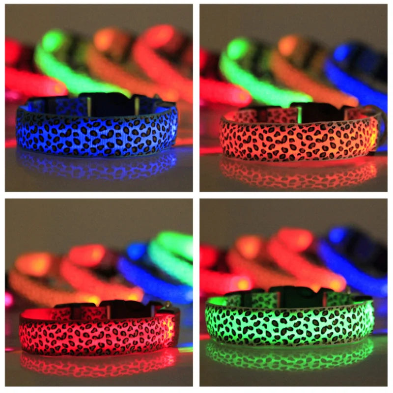 Pet LED Glow Collar