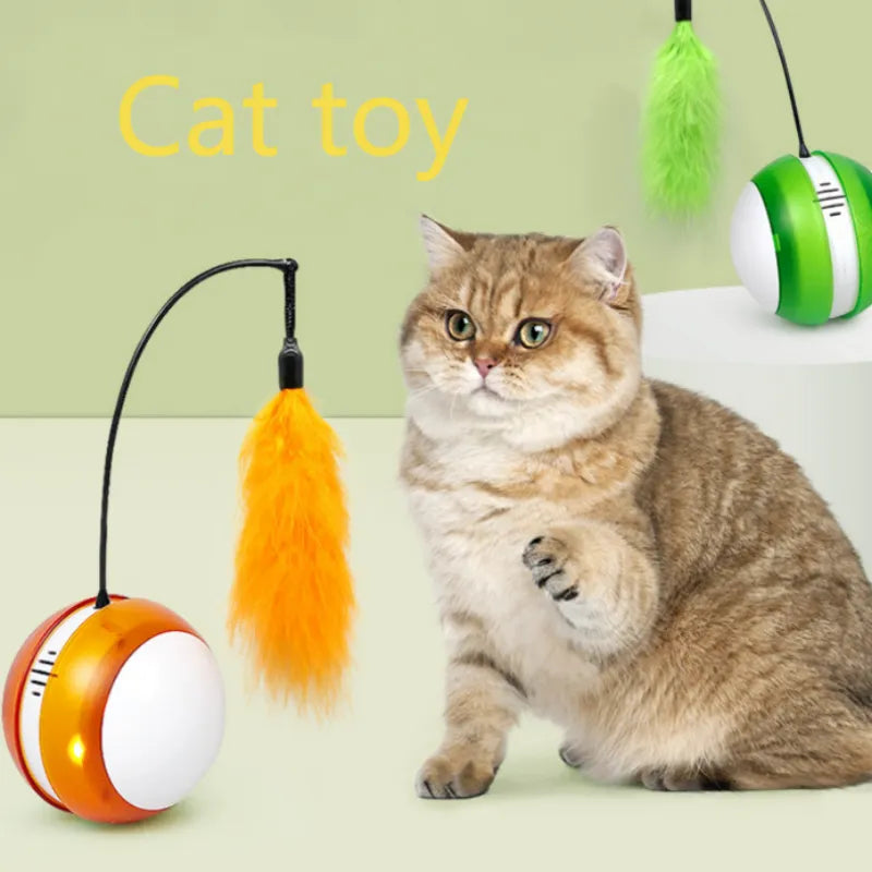 Pet Ball Tumbler Electric