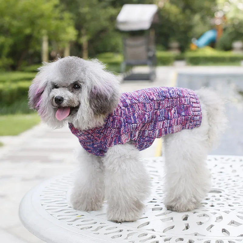 Pet Clothing Puppy Cat Clothing Autumn Winter Sweater Pad Keep Warm Dog Dog Clothes Spring Clothes Luxury Small Dogs Dachshund