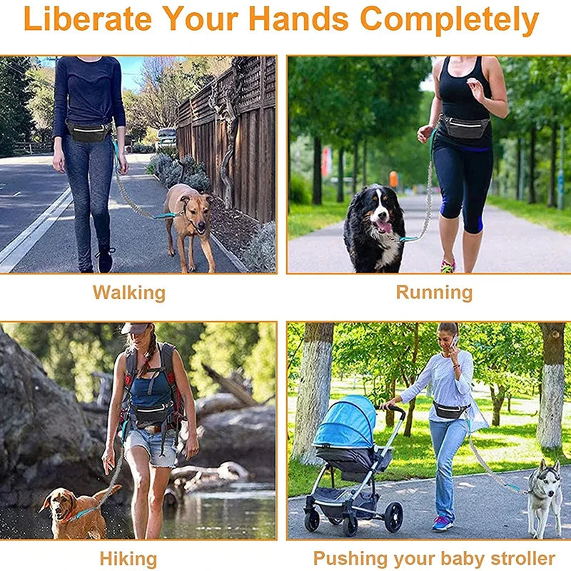 Dog Leash Free Hands