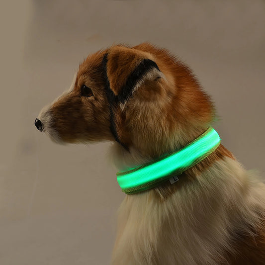 Collar Night Safety LED Light Emitting In The Dark