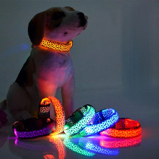 Pet LED Glow Collar