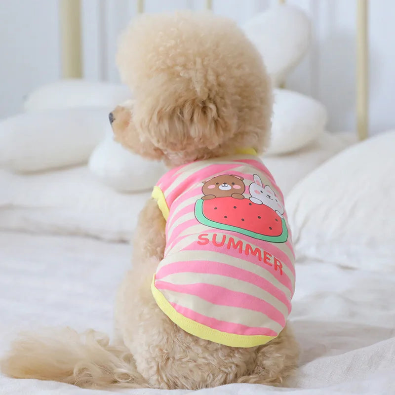 Clothes Luxury Pet