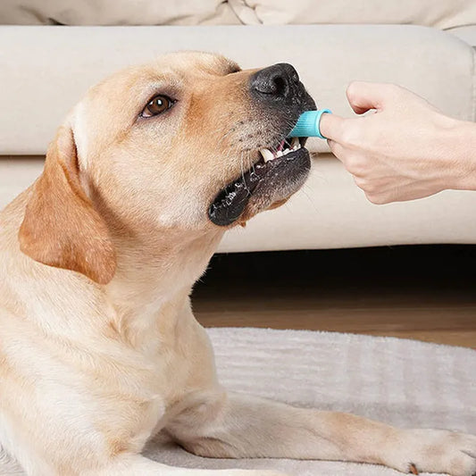 Super Soft Pet Finger Toothbrush