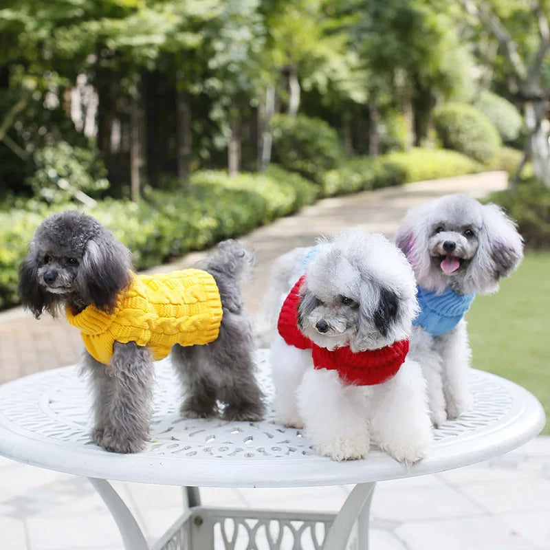 Pet Clothing Puppy Cat Clothing Autumn Winter Sweater Pad Keep Warm Dog Dog Clothes Spring Clothes Luxury Small Dogs Dachshund