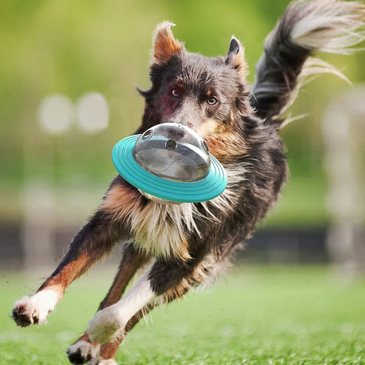 Interactive Dog Food Ball