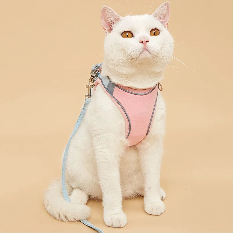 Pet Traction Rope Vest