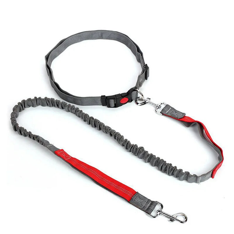 Dog Leash Free Hands