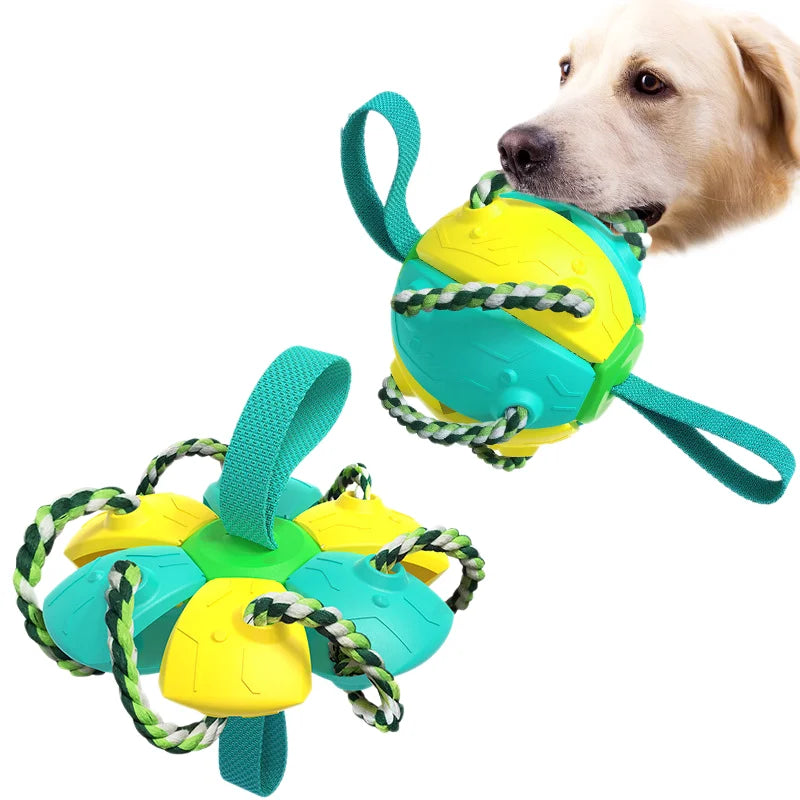 Dog Toy Interactive