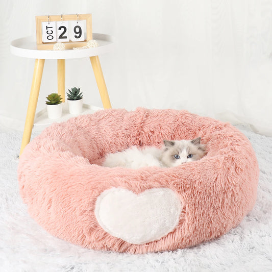 Bed Pet Furniture