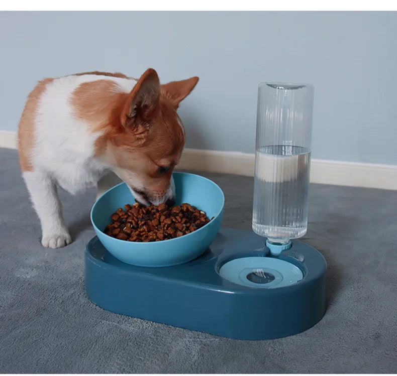 Pet Bowl Drinker Automatic Water