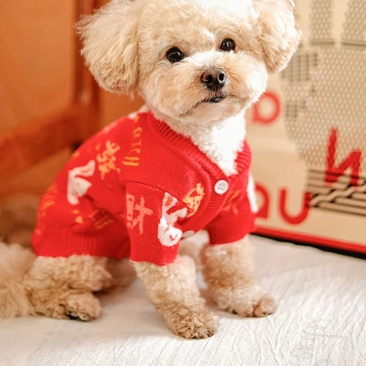 Clothes For Small Dog Luxury