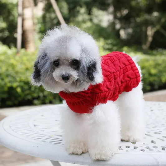 Pet Clothing Puppy Cat Clothing Autumn Winter Sweater Pad Keep Warm Dog Dog Clothes Spring Clothes Luxury Small Dogs Dachshund