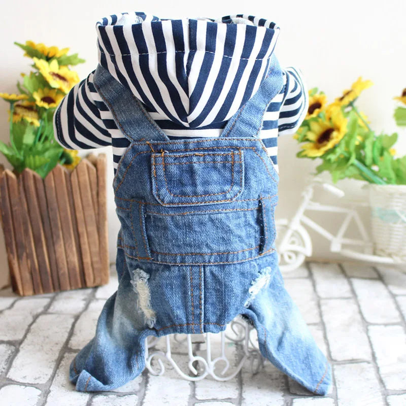 Fashion Denim  Jumpsuit