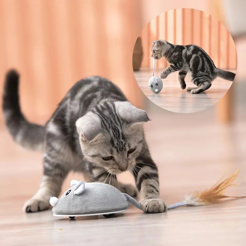 Smart Electric Mouse Toy