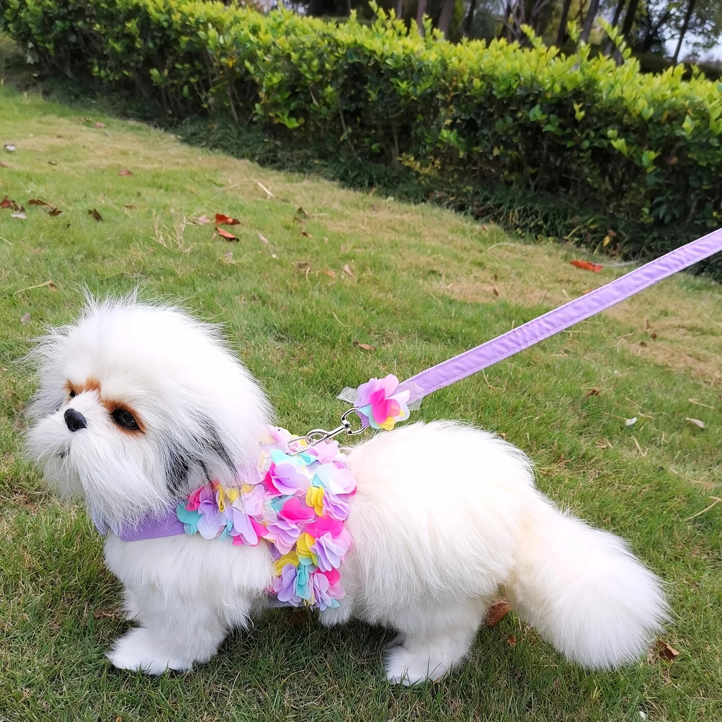 Pets Leash Flower Decoration